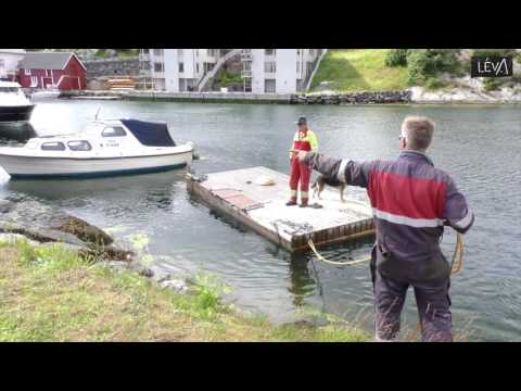 Development Langevåg part 1