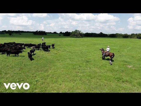 Kevin Fowler - Texas Forever