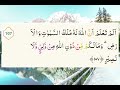 SURAH AL BAQARAH AYAT 102 112 MUROTTAL MERDU OLEH USTADZ HANAN ATTAKI