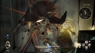 Codevein2　10