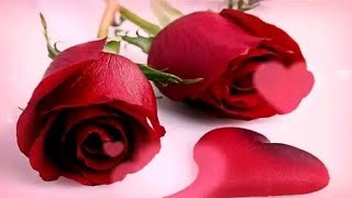 Es tu amor ❤️😍 Thalía (Letra)  ❤️😍Edwin❤️😍