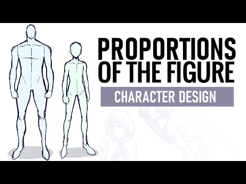 Proportions of the Figure