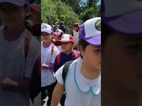 la compartes malvinas argentinas Buenos Aires