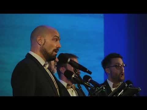 KVINTET VINTGAR - Videl dežele sem tuje