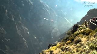 preview picture of video 'Kanion Colca, Peru [13/07/2013]'