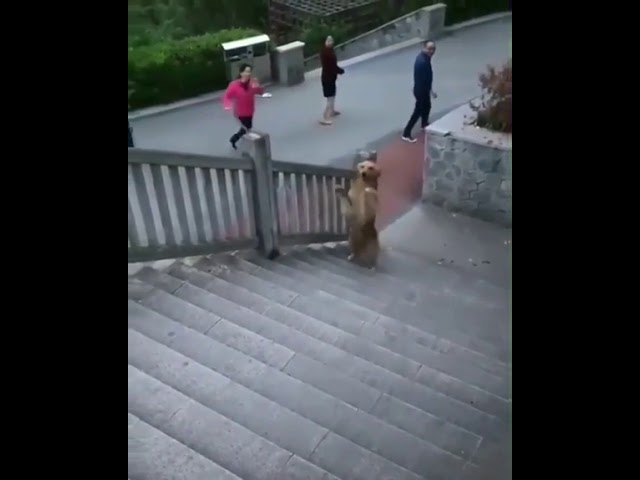 Посмотрите на меня! Я - человек!