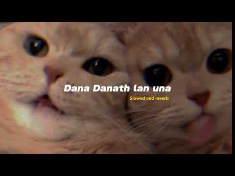 Dana danat lan una (slowed + reverb)