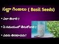 Benefits Of Eating Sabja Seeds ||Best Time || How to Eat in Telugu
