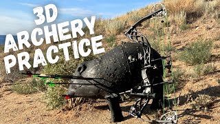 Total Archery Challenge Practice on a Old 3D Bow Range
