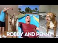 *1 Hour* Funny Shorts Robby and Penny | Best of Robby and Penny 2024 | Shorts Comps