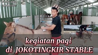 Download lagu kandang kuda baru di Madina Van Java / Joko tingkir stable mp3 Download lagu kandang kuda baru di Madina Van Java / Joko tingkir stable mp3