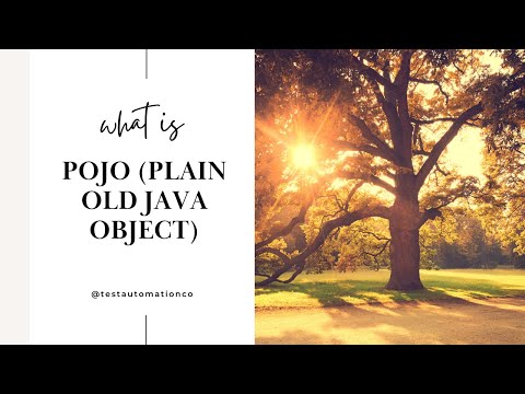 What are POJOs Why When Plain Old Java Object