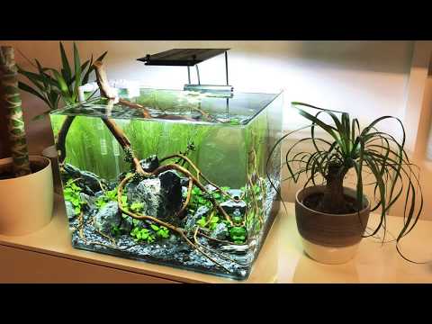 Watch Video on YouTube