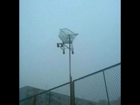 Peridarren / April Sweatpants - Ball Dump