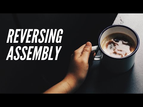 Reversing Assembly - Pwn Zero To Hero 0x01