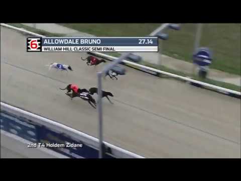 2018 WILLIAM HILL CLASSIC - 1ST SEMI - T6 ALLOWDALE BRUNO