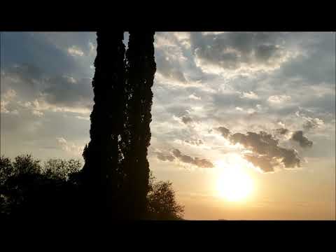 Herbie Hancock Quartet (with  Wynton Marsalis, Buster Williams & Tony Williams), Chicago (1980)