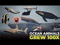 What If Ocean Animals Grew 100 Times Bigger Imaginary Size Comparison 3D