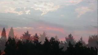 John McDermott - The Dutchman