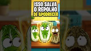 SEGREDO PARA O REPOLHO NAO APODECER