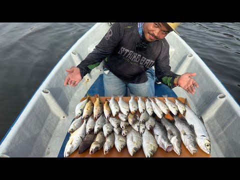 MEMBURU SIAKAP TEKNIK CASTIN BERSAMA TEKONG SHAH RIDZUAN DI TELAGA NENAS