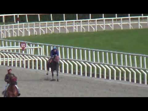 COMPADRITO VF-REVISTA INVASOR