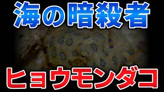 ゆっくり毒物vol.142　ヒョウモンダコ【ゆっくり解説】
