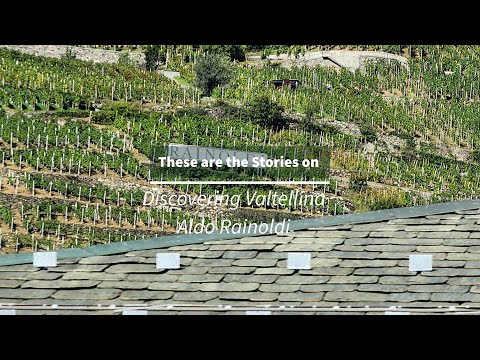 Aldo Rainoldi Cellar Interview Valtellina Italy