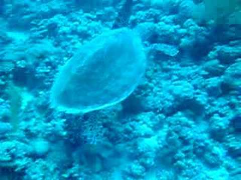 Makadi Bay, Makadi Bay,Ägypten