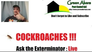 Roaches | How to eliminate them | LIVE STREAM