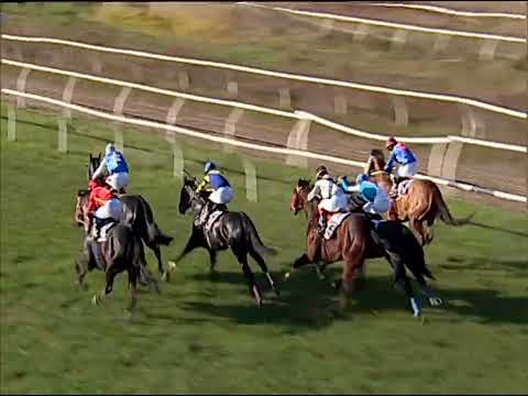 Napoli Galoppo 04/12/2022 - 2ª corsa