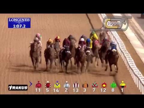 Arrogate - World Champion Racehorse wins 2017 Dubai World Cup