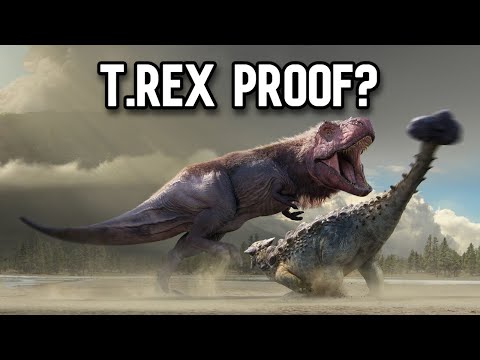 Did T.rex Actively Hunt Ankylosaurus?