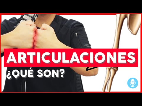 Articulaciones, 😶 qué son?