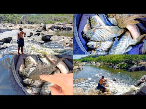 FOMOS A UMA PESCARIA, NA PEDRA DO ALTAR, QUE FICA NO RIO PARAÍBA, EM BARRA DE SANTANA PB. 