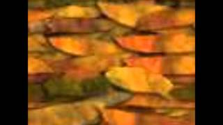 Top 40 Hits Of 1947 07 Sammy Kaye The Old Lamp-Lighter