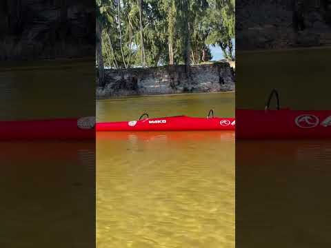 ARE TAHITI MARARA GETS A "MAKO"VER FOR 2023!