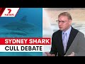 Culling Doesn T Work Expert S Blunt Message After Horror Shark Attacks In Sydney 7NEWS