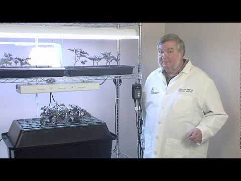 Propagation Station Set-Up