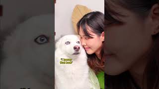 Download lagu YOU CAN MAKE HATS WITH HUSKY FUR?!?! 👀 mp3 Download lagu YOU CAN MAKE HATS WITH HUSKY FUR?!?! 👀 mp3