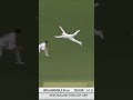 Steve Smith flying catch 🔥🔥🔥 Aus vs Nz