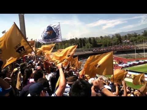 "la rebel desplegando banderas (pumas vs tigres) 14 de abril 2013" Barra: La Rebel &bull; Club: Pumas