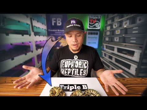 My BiGGest MISTAKE this year