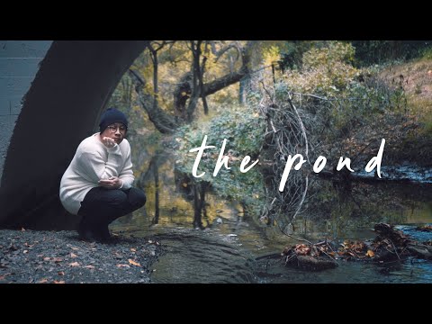 Rosendale - The Pond (Lyric Video)