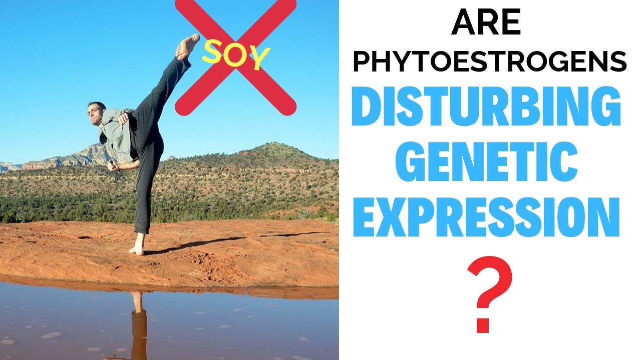 The Real Deal on Phytoestrogens - YouTube