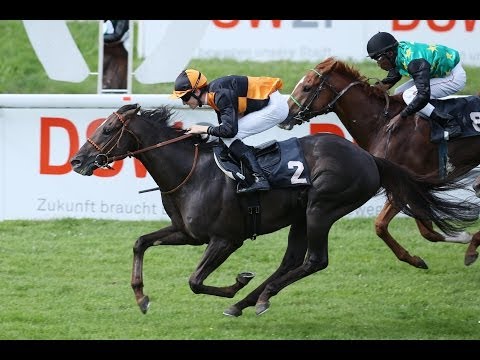 Dortmund: 27. Großer Preis der Wirtschaft (Gruppe 3) - Sieger: Amaron