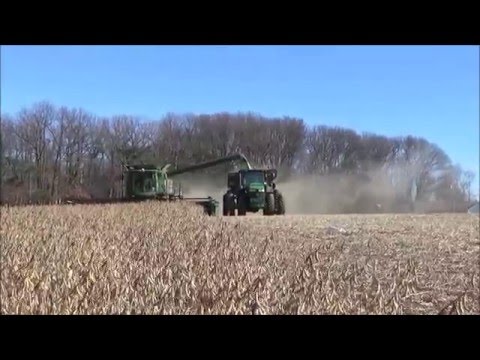 Double Crop Soybean Harvest