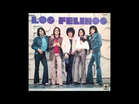 LOS FELINOS - ( 11 EXITOS )