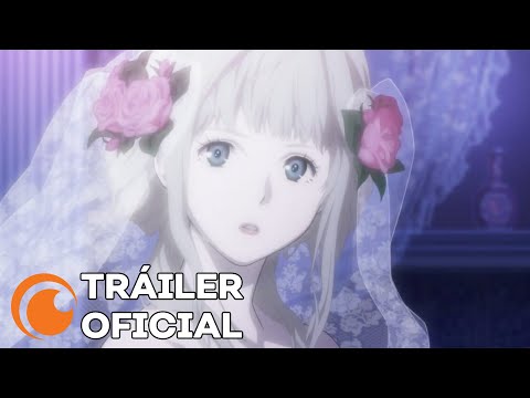 Tráiler oficial | Fena: Pirate Princess