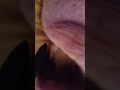 Terlalu Besar Memek Nya ️ ️